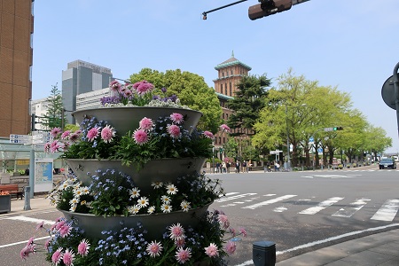 日本大通りはチューリップの花回廊