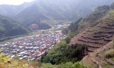 【悦子さんだより】大槌町桜木町の裏山に登りました